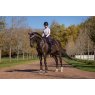 LeMieux LeMieux Loire Close Contact Square - Juniper
