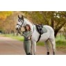 LeMieux LeMieux Philippa Base Layer - Rosemary