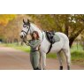 LeMieux Philippa Base Layer - Rosemary