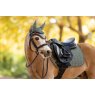 LeMieux Mini Classic Fly Hood - Rosemary