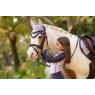 LeMieux Mini Classic Fly Hood - Lilac