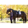 LeMieux LeMieux Suede Dressage Square - Lilac