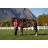 LeMieux LeMieux Loire Dressage Square - Navy/Cranberry