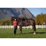 LeMieux LeMieux Loire Dressage Square - Navy/Cranberry