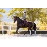 LeMieux LeMieux Loire Dressage Square - Damson