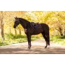 LeMieux LeMieux Loire Close Contact Square - Damson