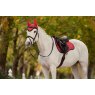 LeMieux LeMieux Loire Fly Hood - Cranberry
