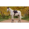 LeMieux LeMieux Loire Close Contact Square - Navy/Cranberry