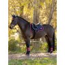 LeMieux LeMieux Loire GP Square - Navy/Cranberry