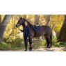 LeMieux LeMieux Loire GP Square - Navy/Cranberry