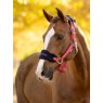 LeMieux LeMieux Vogue Headcollar & Leadrope - Cranberry
