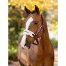 LeMieux LeMieux Vogue Headcollar & Leadrope - Juniper