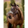 LeMieux LeMieux Vogue Headcollar & Leadrope - Damson