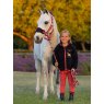 LeMieux Mini Vogue Headcollar & Leadrope - Cranberry