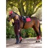 LeMieux LeMieux Loire Close Contact Square - Cranberry