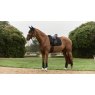 LeMieux LeMieux Essence Dressage Square - Black