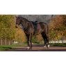 LeMieux LeMieux Essence Dressage Square - Damson