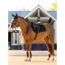 LeMieux LeMieux Essence Eurojump Square - Black