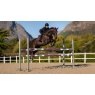 LeMieux LeMieux Essence Eurojump Square - Damson