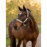 LeMieux LeMieux Essence Headcollar - Rosemary