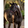 LeMieux LeMieux Essence Headcollar - Damson