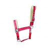 Hy Hy Christmas Santa Headcollar