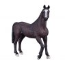 Mojo: Arabian Stallion Black