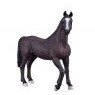 Mojo: Arabian Stallion Black