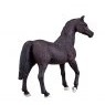 Mojo: Arabian Stallion Black