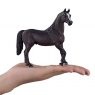 Mojo: Arabian Stallion Black