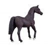 Mojo: Arabian Stallion Black