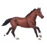 Mojo: Thoroughbred