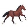 Mojo: Thoroughbred