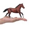Mojo: Thoroughbred
