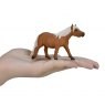 Mojo: Shetland Pony