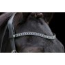 Ecorider Freedom Sapphire Browband