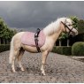 Kentucky Velvet Pony Jumping Pad - Old Rose