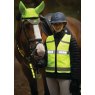 Woof Wear LED Hi Vis Riding Vest