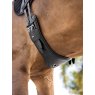 LeMieux LeMieux Arika Contoured Dressage Girth - Black
