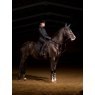 LeMieux LeMieux ProForm Moulded Close Contact Pad - Black