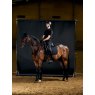 LeMieux LeMieux ProForm Moulded Dressage Pad - Black