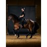LeMieux LeMieux ProForm Moulded Dressage Pad - Black