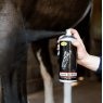 Smart Grooming Smart Grooming Cover Up Spray - Black