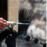 Smart Grooming Smart Grooming Mane Comb