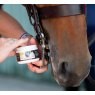 Smart Grooming Smart Grooming Lip & Bit Balm