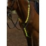 Woof Wear Woof Wear LED Neck Band - Hi Vis Yellow