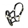 Shires Shires ARMA Topaz Nylon Headcollar