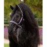 LeMieux LeMieux Essence Headcollar - Juniper