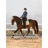 LeMieux LeMieux Suede Dressage Square - Macaron