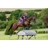 LeMieux LeMieux Suede Close Contact Square - Mallow